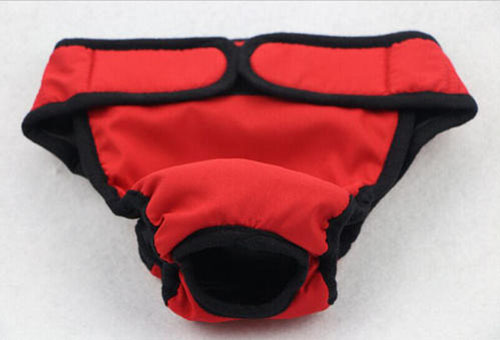 母狗闹狗的症状有哪些,狗闹狗有什么表现