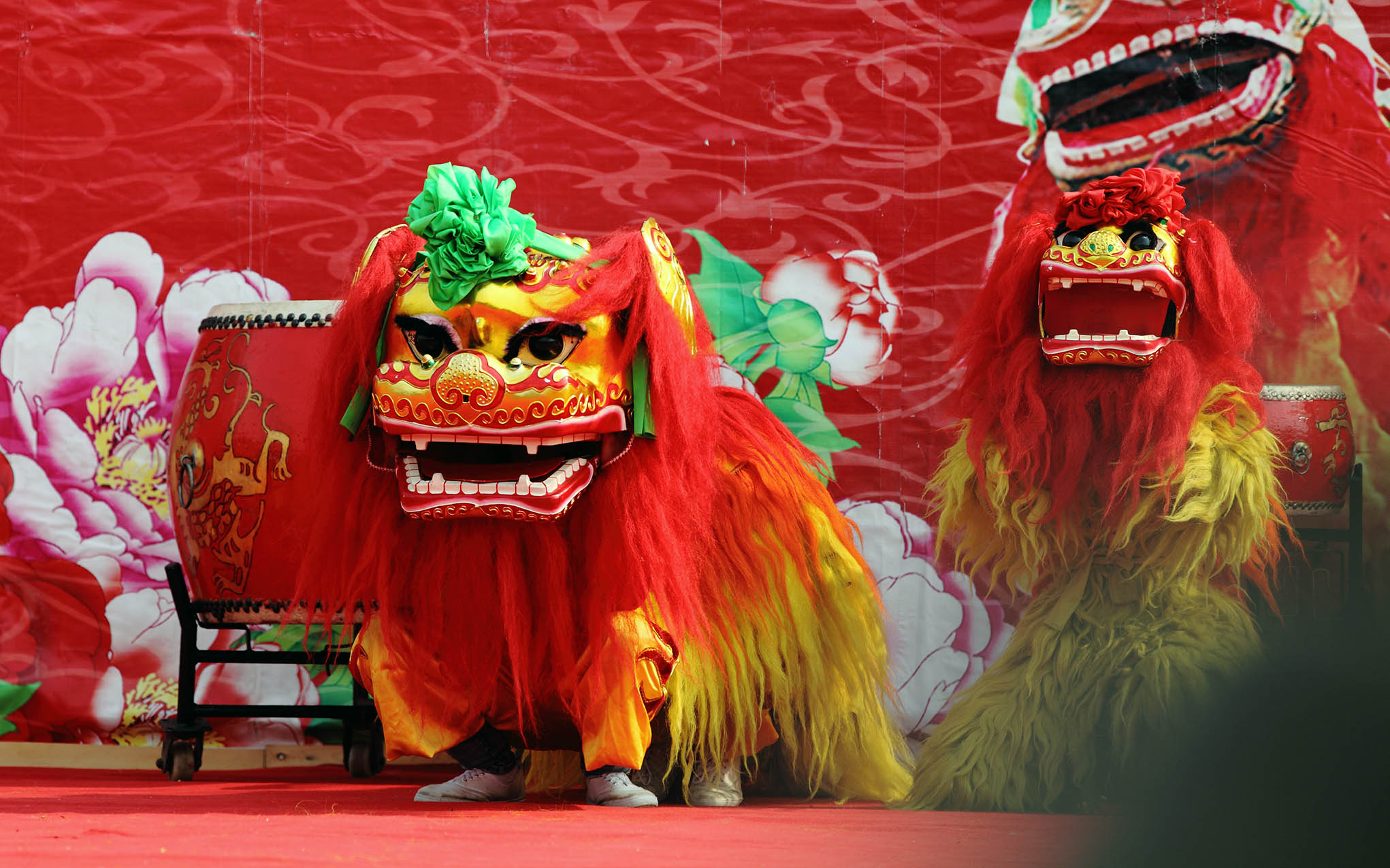 年年过年都会看到舞狮，但全套舞狮表演再也看不到，已失传了吗？