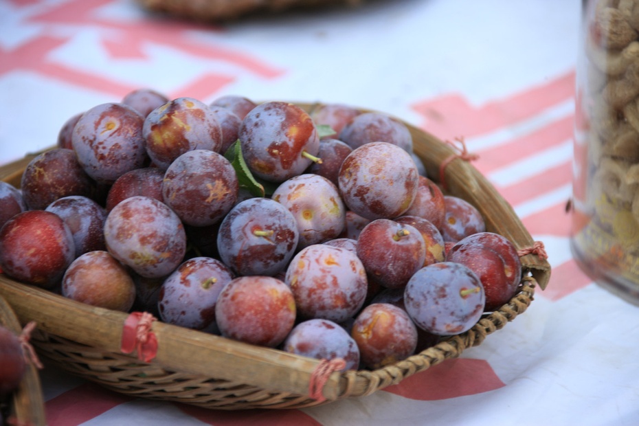 米亚罗-大美理礼县