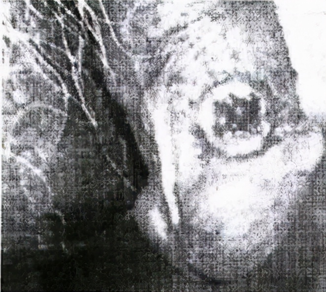 嫖娼、乱性等行为不仅有违道德和法律还可能带来各种各样的性病