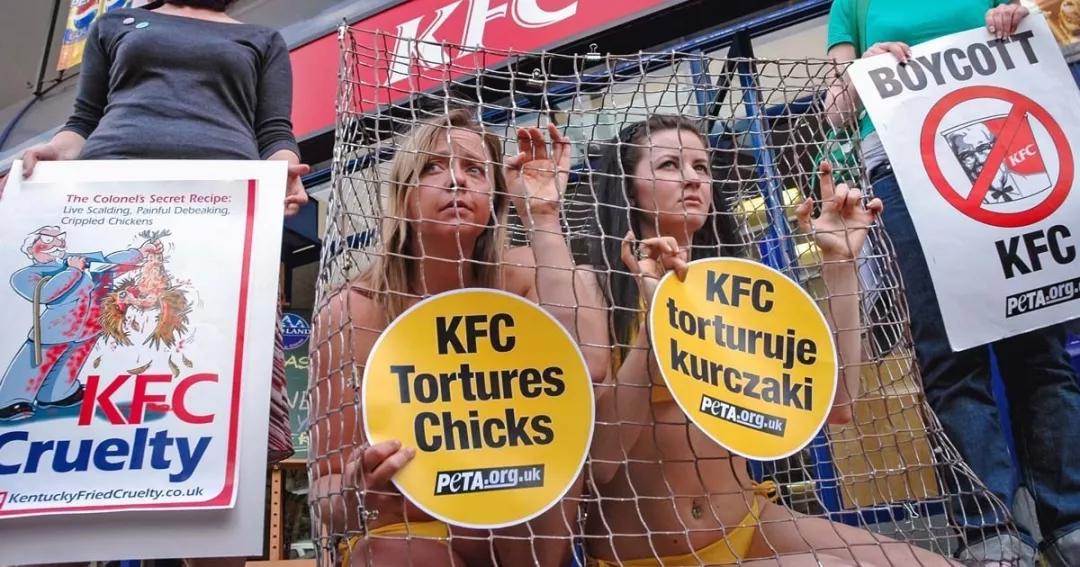 女权，LGBT，黑人，政治正确的江湖中，谁才是王者？