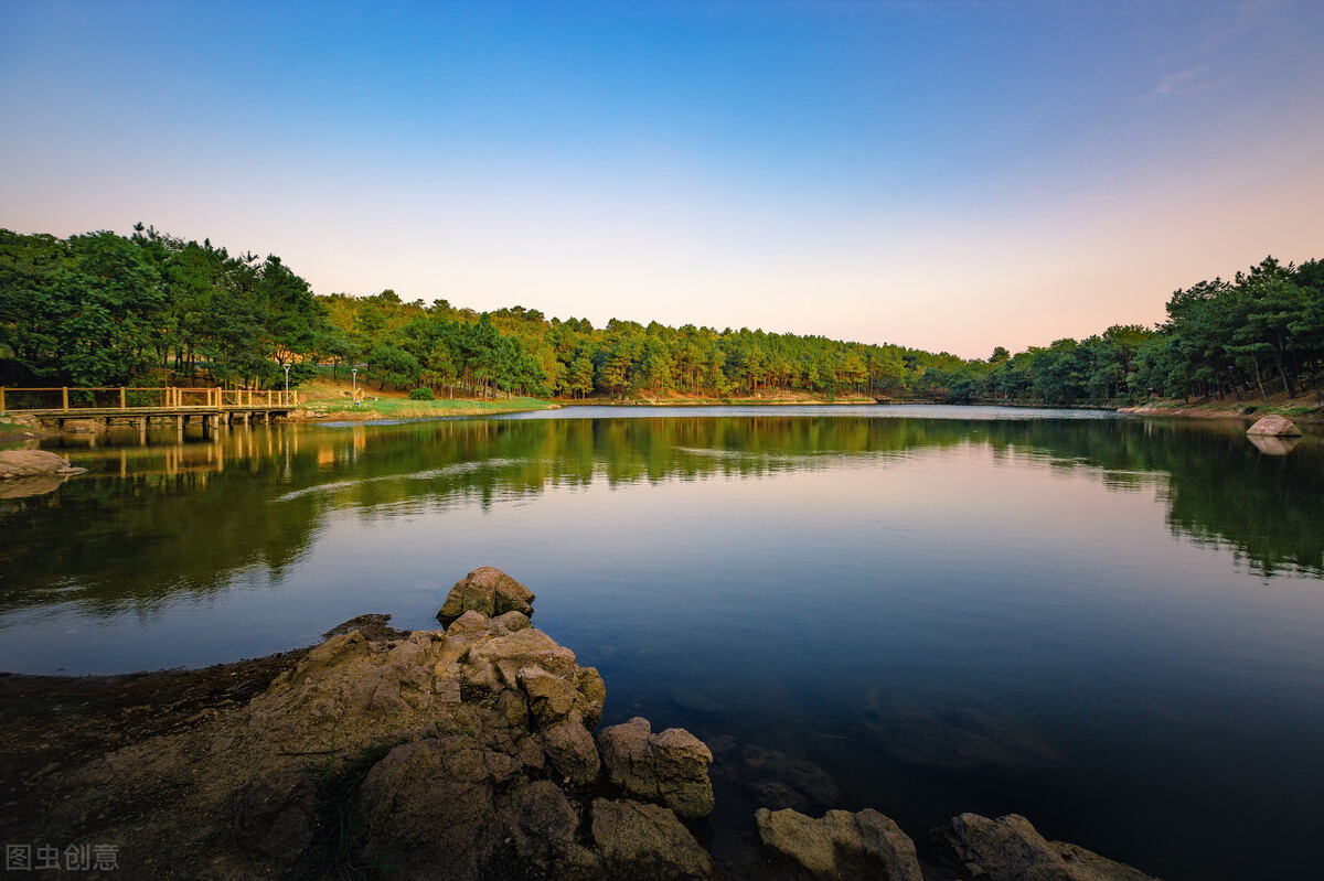 苏大强江苏版图,苏大强在南京的发展