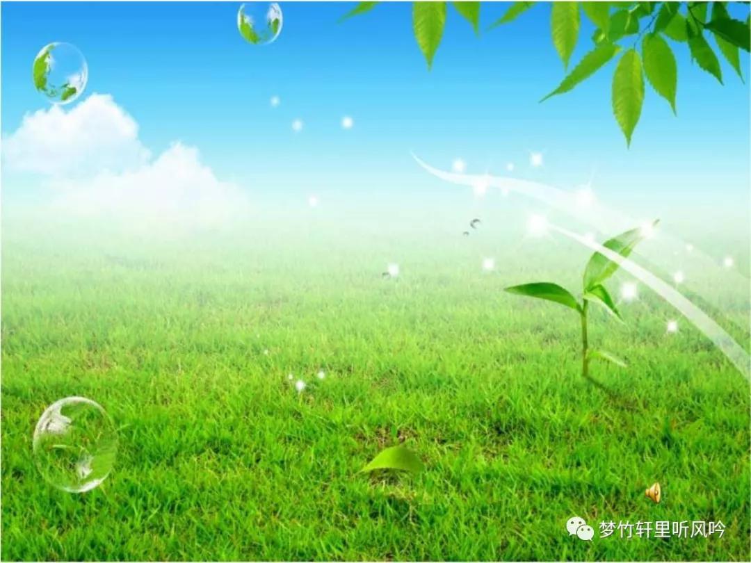 把自己的销售技巧和经验分享下去,销售合理化建议金点子100条