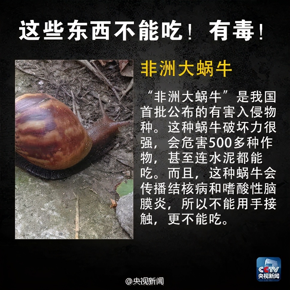 食安提示,食安预警了咋办