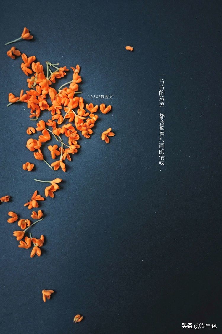 秋分愿生活恰如其分,人生恰如秋分生活恰如其分