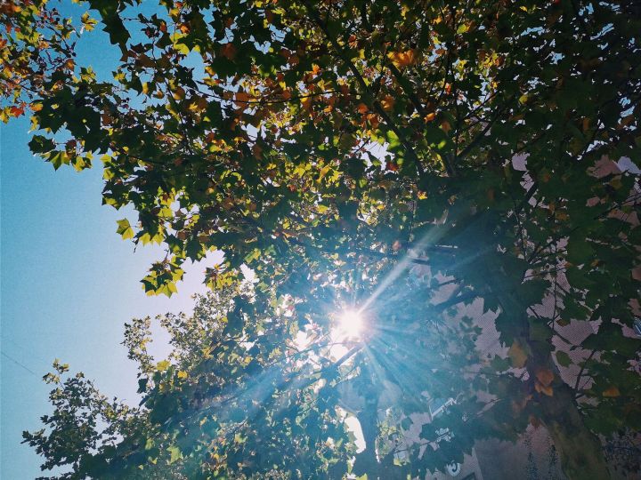 山东省曲阜市齐鲁理工学院,山东八大高校民办