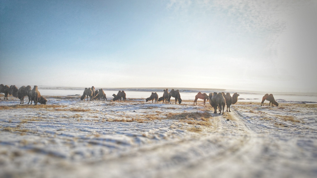 四驱车和雪地胎哪个更安全,四驱与雪地胎哪个更稳