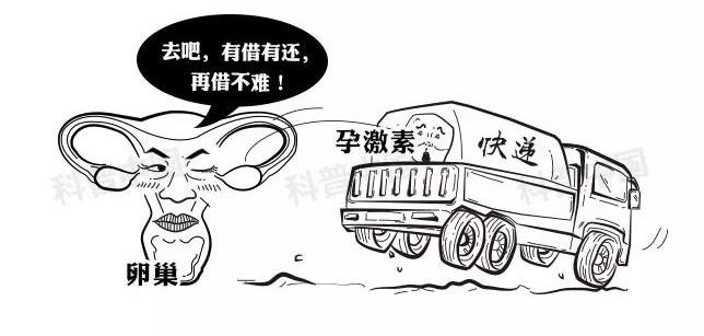 避孕药药理科普,医学科普避孕药的功能和原理