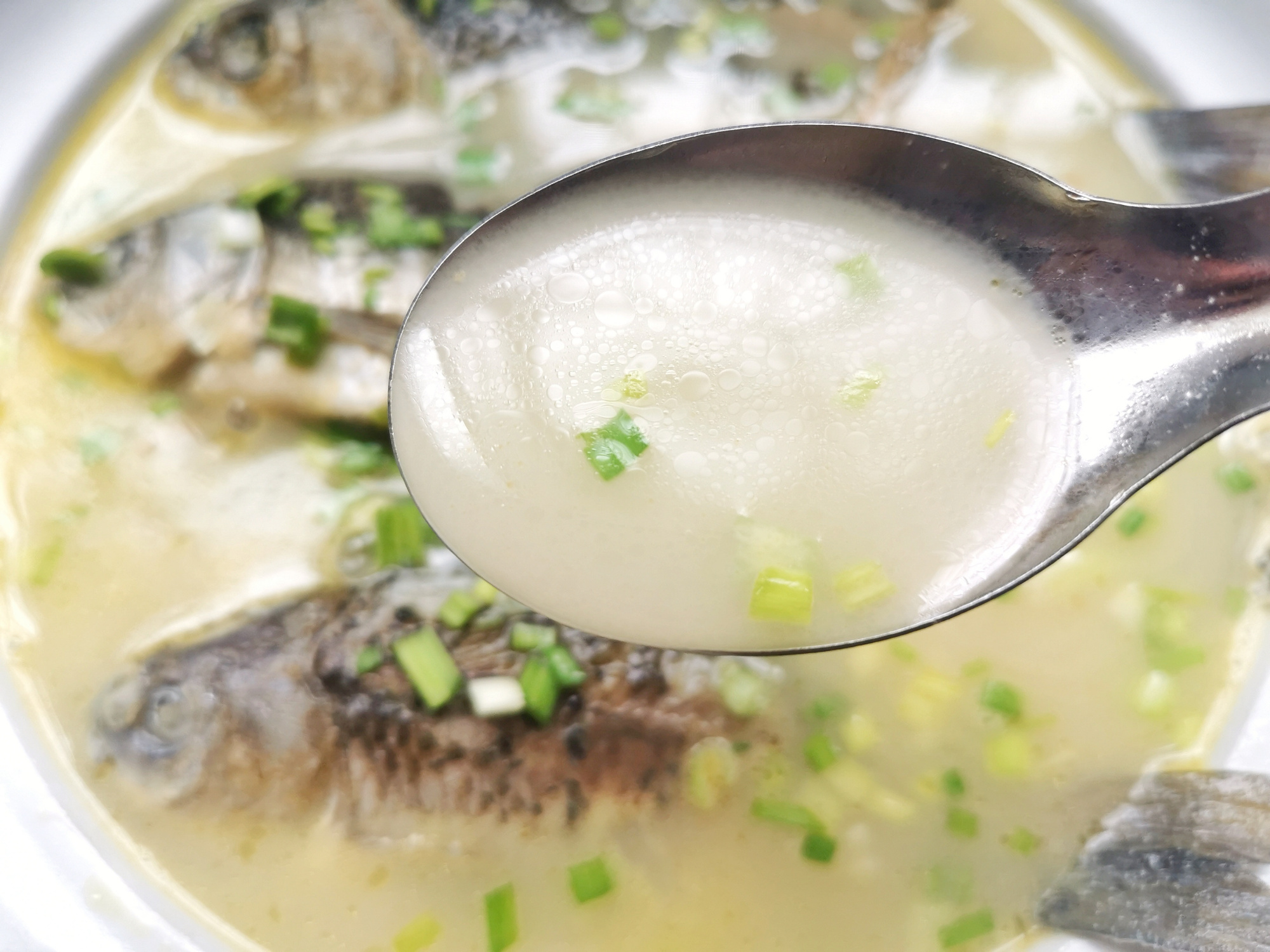 老人喝什么鱼汤最好,什么鱼不适合熬鱼汤