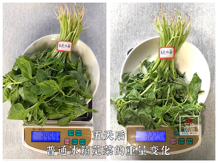 日立冰箱3200xc怎么用,日立r-sbs3100c冰箱优缺点