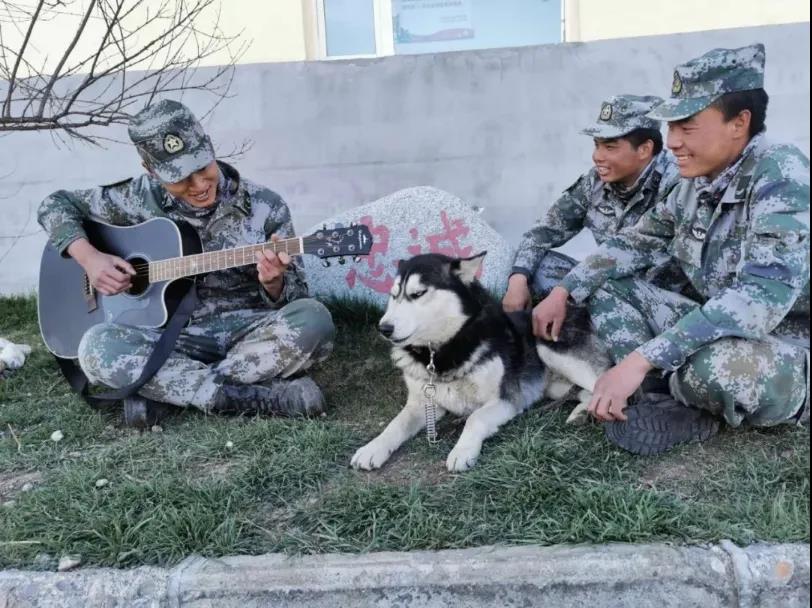 兵哥哥骑马最有霸气,兵哥哥骑马第一视角