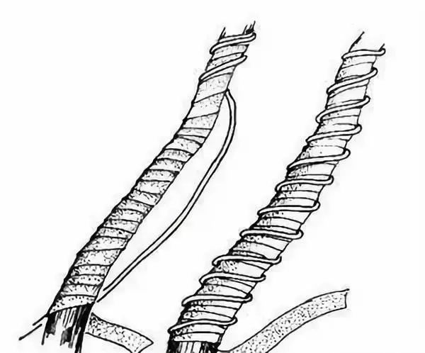 真柏盆景嫁接枝条什么时候拿弯,盆景三弯九拐枝条布局