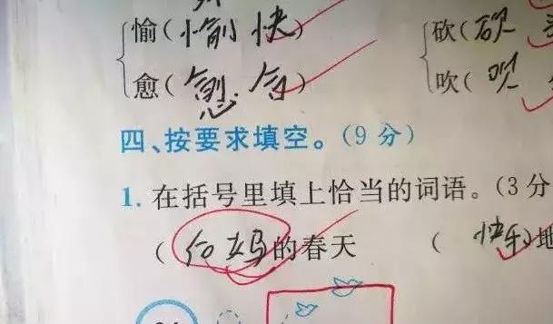小学生零分试卷笑到手抖,小学生0分试卷走红视频