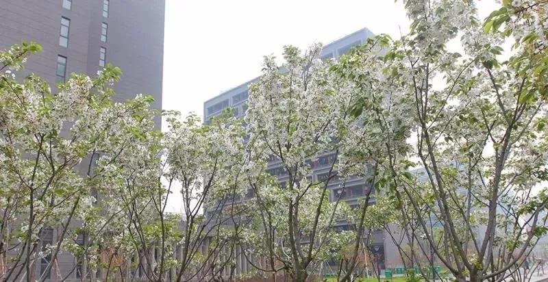 浣犱滑瀹夊績鑰冭瘯鎴戜滑鐢ㄥ績瀹堟姢,鎴戜滑涓轰綘鎶よ埅浣犱滑瀹夊績涓婅