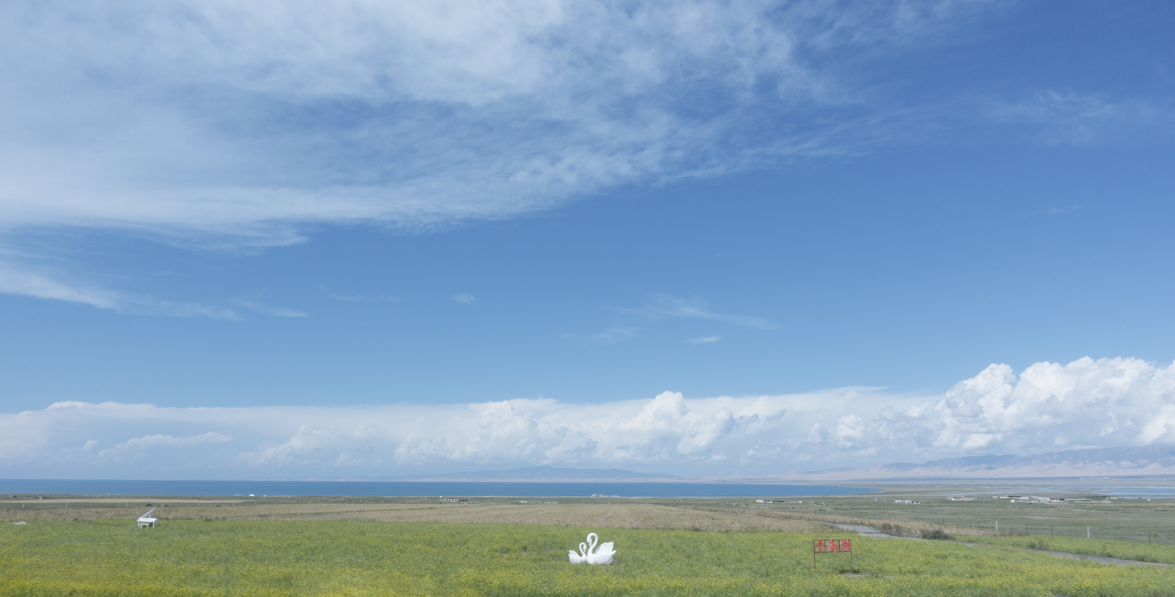 债券投资最新骗局案例,债券投资价值陷阱