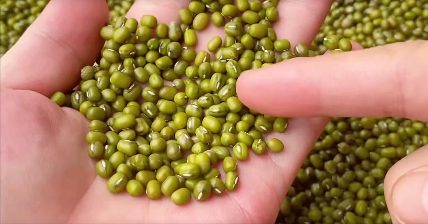 煮绿豆沙不放冰箱的煮法,煮绿豆沙不脱壳怎么办