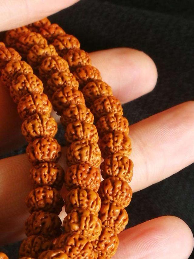 19mm金刚菩提是大金刚还是小金刚,金刚菩提多大尺寸算大金刚