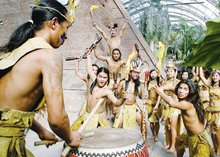 玛雅人全部信息,玛雅人后裔