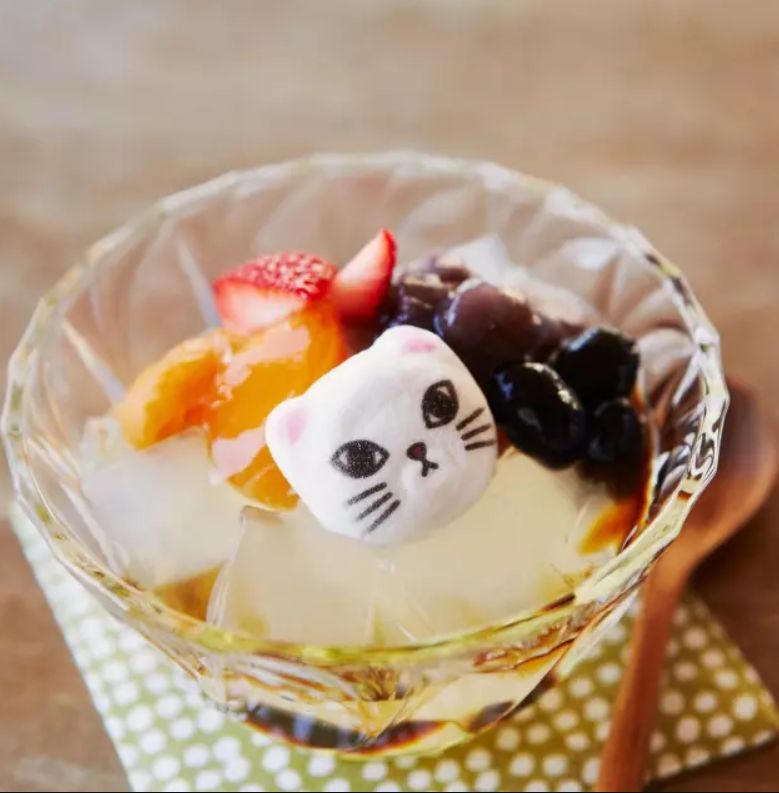 360度“云吸猫”？日本这家猫咪商店简直爱了