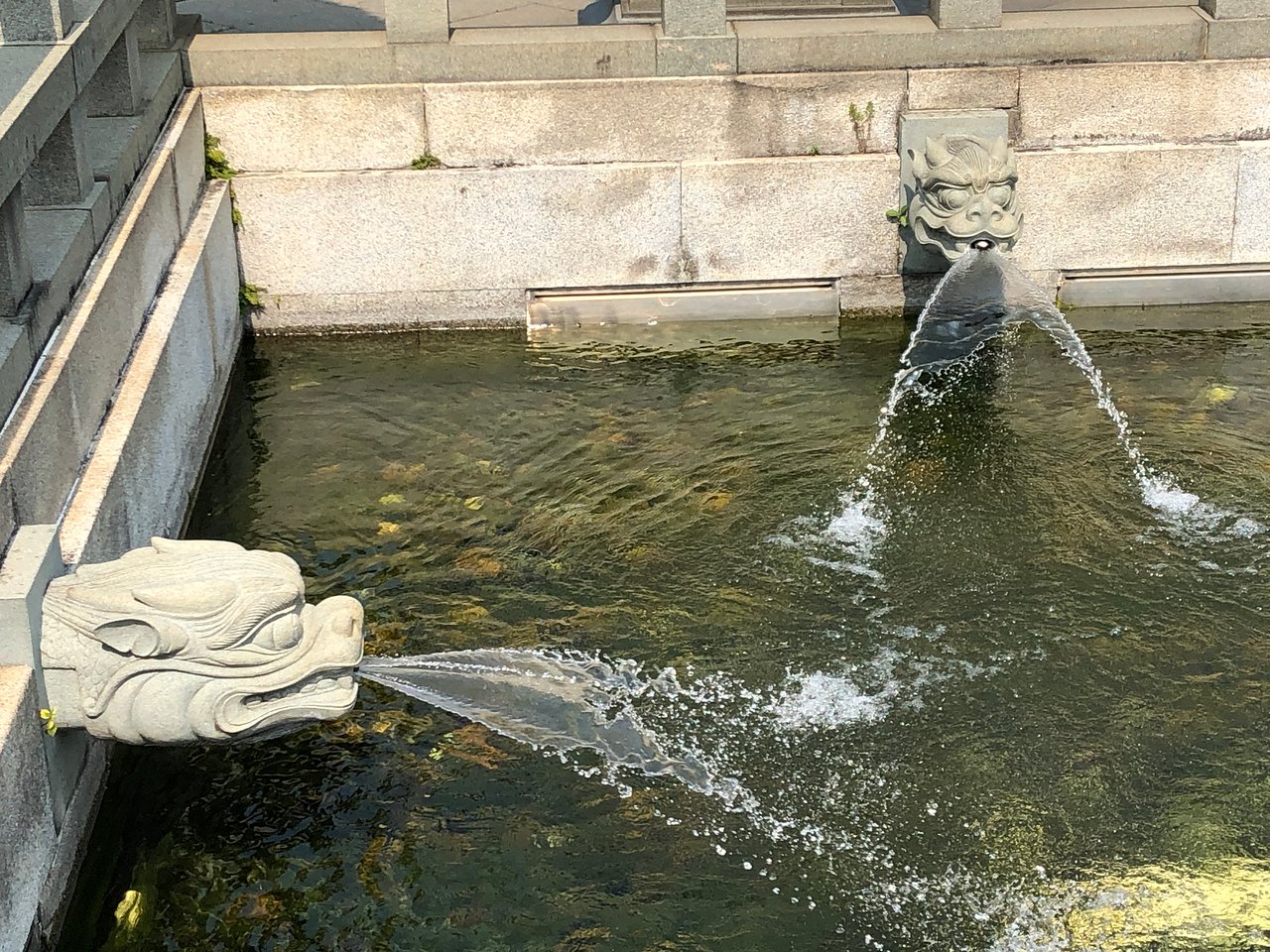 香港志莲净苑地图,香港志莲净苑好玩吗