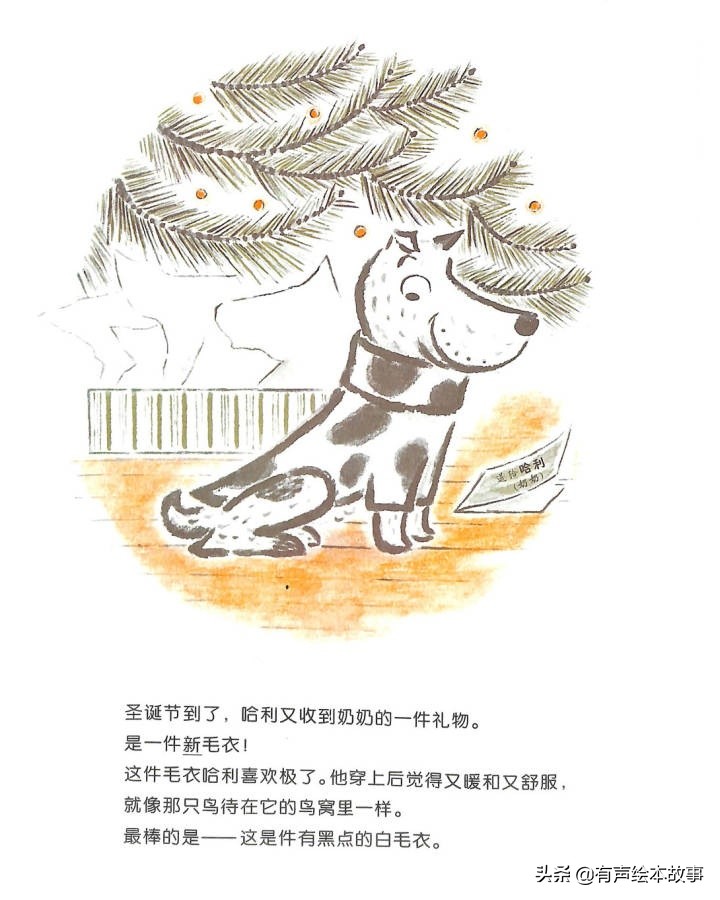 儿童故事哈利的花毛衣,哈利不可以有声绘本故事