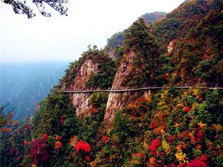 春暖花开露营正当时,春暖花开去露营盘点露营必备神器