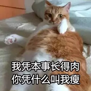 凭什么英文怎么说,凭什么说日文版