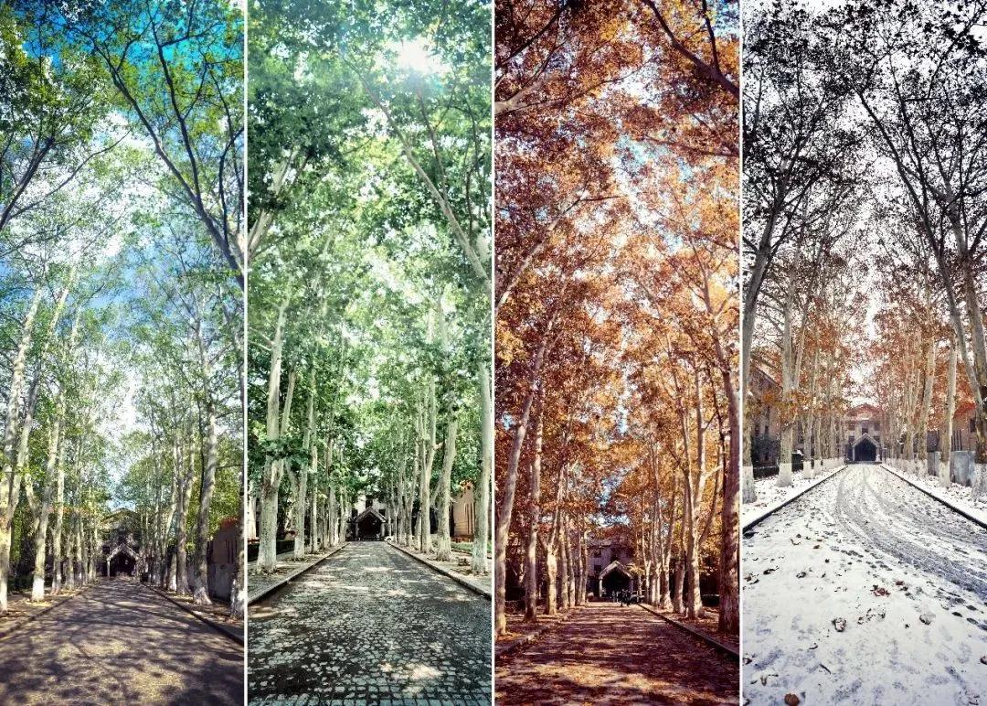 国家级一流专业|西安建筑科技大学建筑学