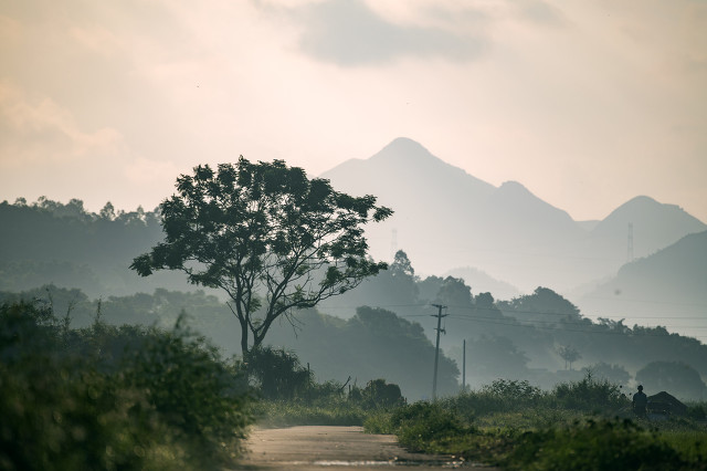 我的家乡丹凤,我的家乡丹凤县作文