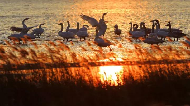 威海五一免费门票景点,威海景点免费开放