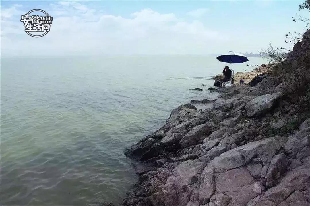 合肥一日游景点有哪些好玩的,合肥一日游最佳景点攻略