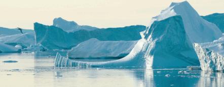 是你们说的全程高潮，但结局我想骂街