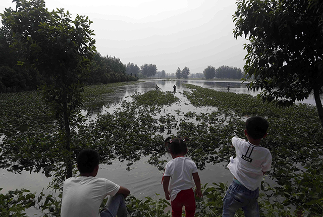 连续暴雨天鱼塘的管理,下暴雨后鱼塘有泡沫怎样处理