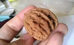 文玩核桃阴皮与反油的区别,文玩核桃反油了怎么办