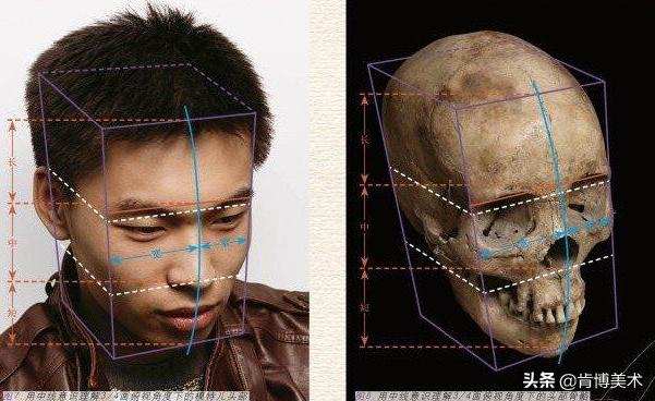 画人像学哪种,适合新手画人的绘画