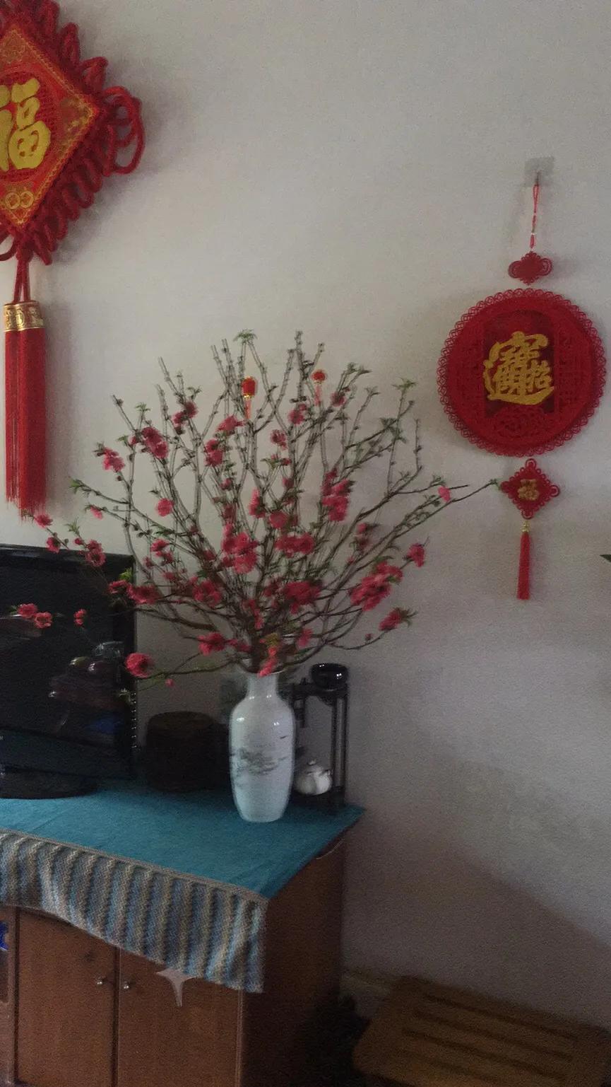 桃花励志花语大全,桃花的星座和花语