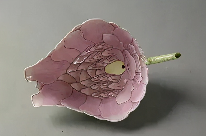 辣眼睛设计,辣眼睛衣服设计