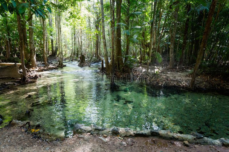 泰国的税收优惠政策,泰国国情基本介绍