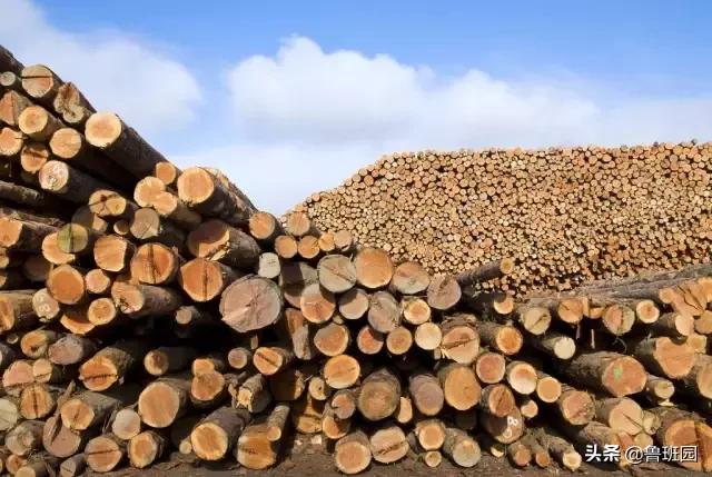 “最快的刀”、“最准的尺”、“最热的光”——木工激光技术