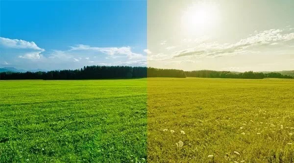 色盲悖论是什么,如何解释才能不留BUG?带你深入认识色盲