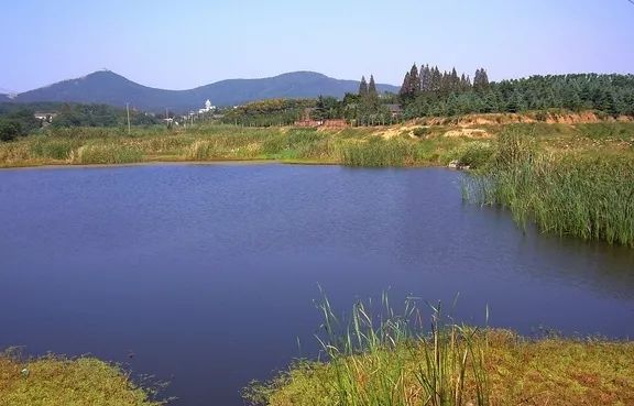 野外游泳安全指南—野泳必看