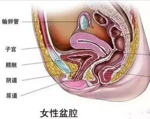 女性必须注意的五种常见心理疾病,女性有心理疾病怎么办