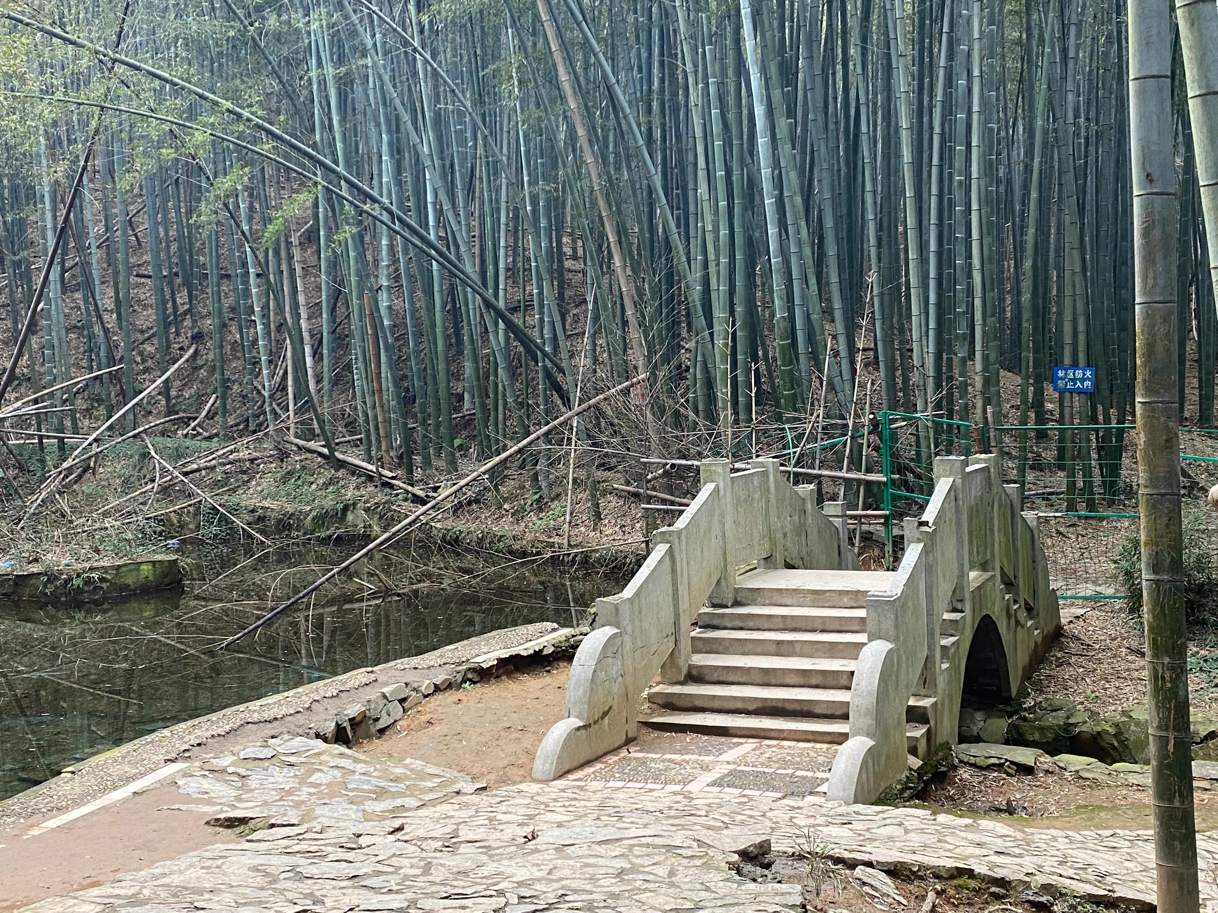 石塘竹海九寨沟,小九寨沟天然氧吧