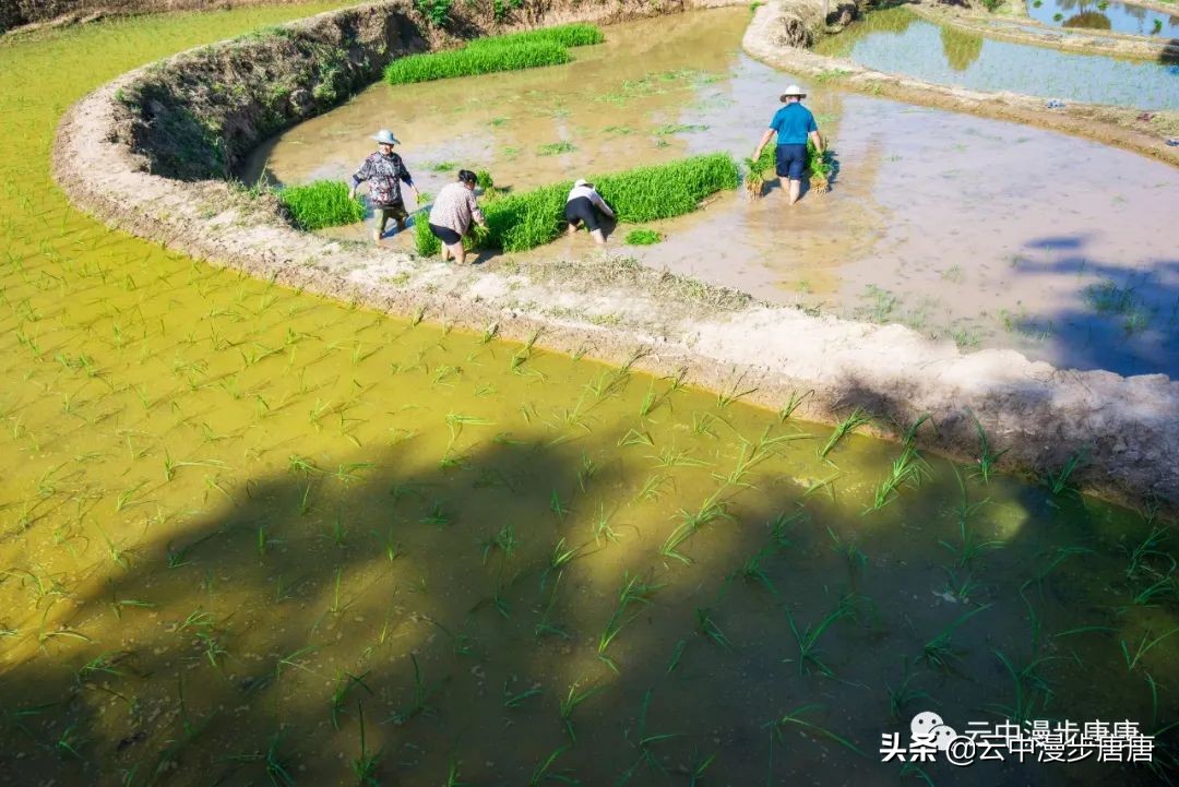 四川岳池黄龙水库,岳池黄龙杨家沟水库