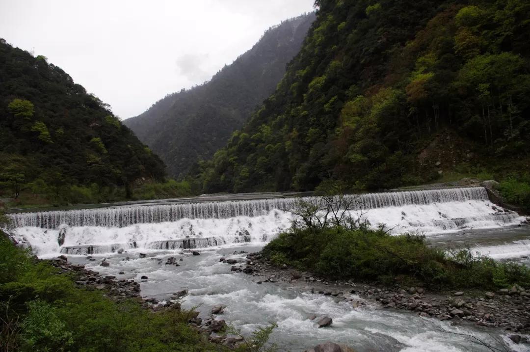 法系车雪铁龙世嘉,法系车雪铁龙c4世嘉怎么样