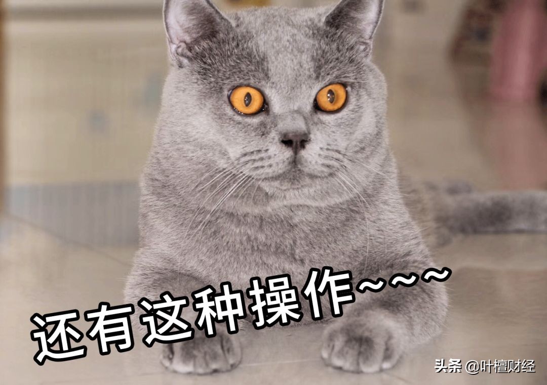 游资风云06,游资温州帮有没有听说过