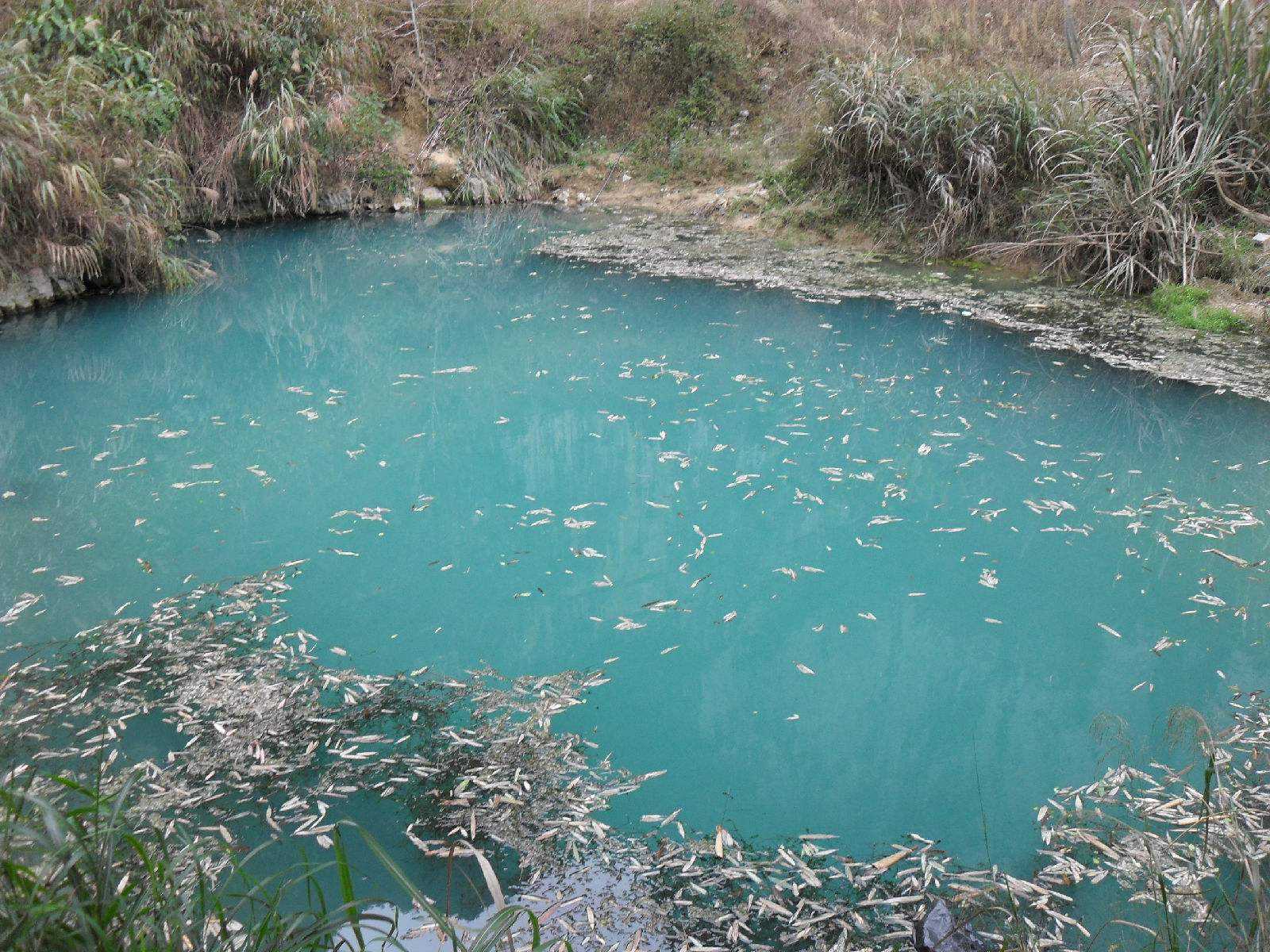 喝了井水生双胞胎,喝了能怀双胞胎的神奇泉水