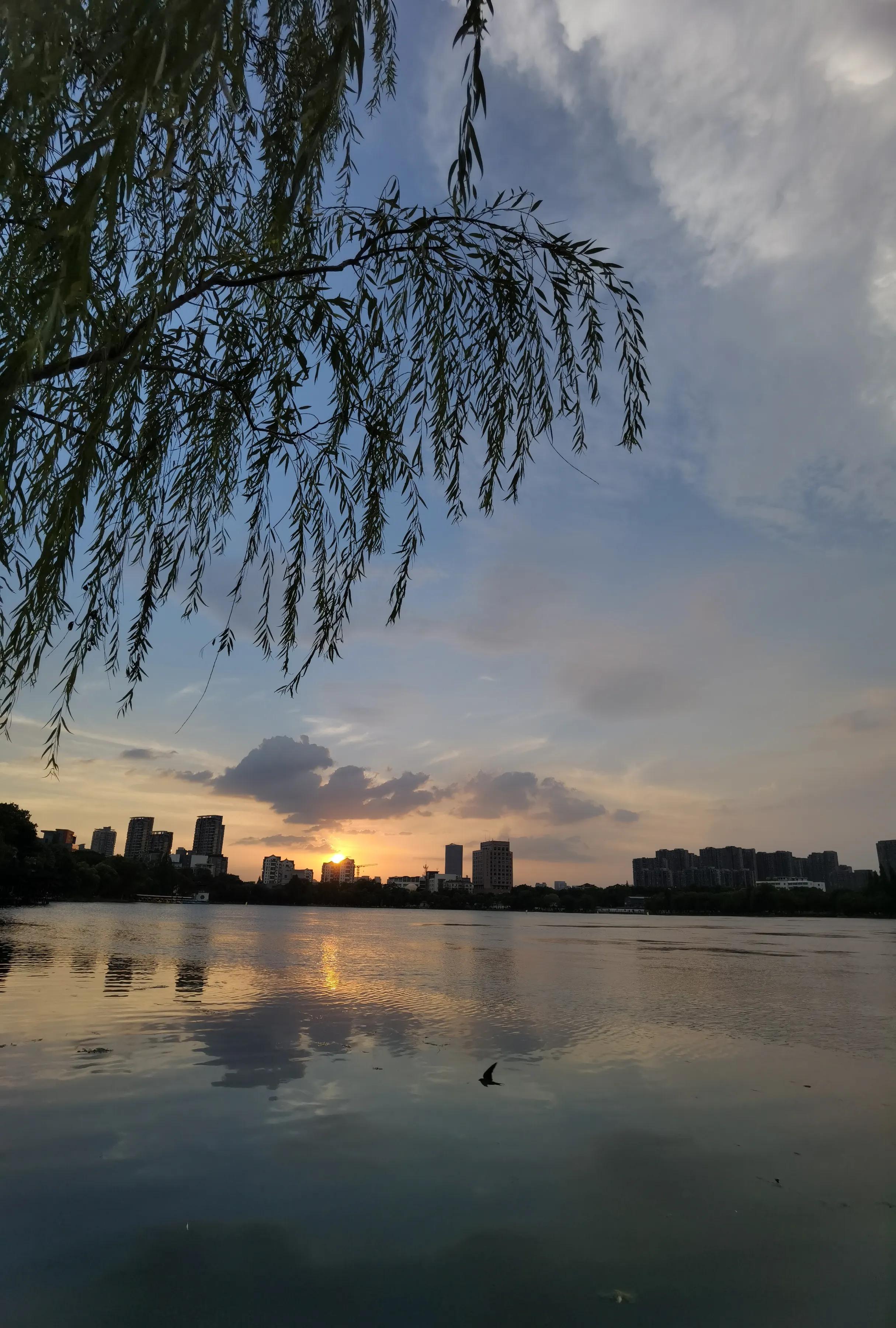 手拍世界手机摄影平台,手机摄影作品集大全集