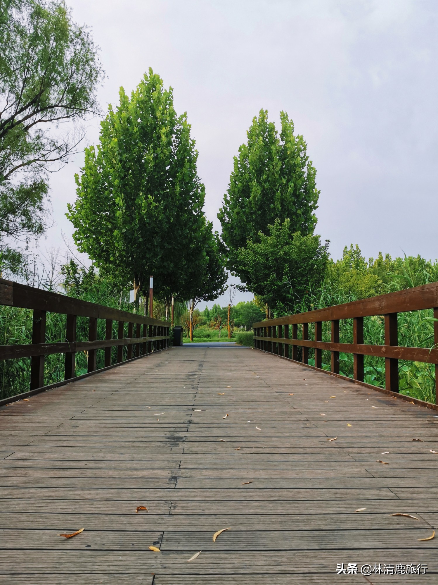 郑州免费湿地公园,郑州周围有水的公园免费景点