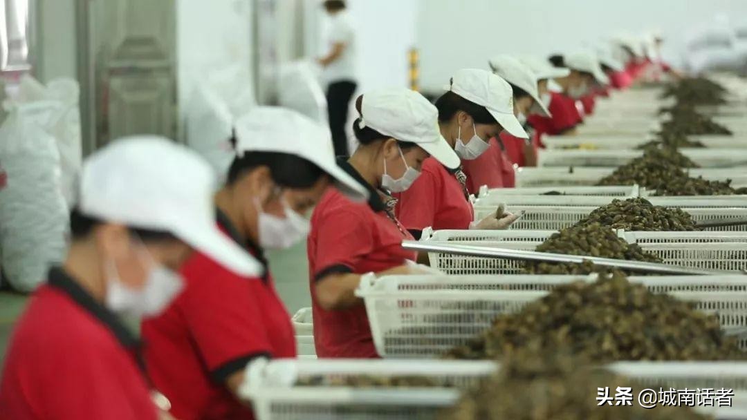 6000万人撑起的槟榔千亿产业,他把癌症卖给你,你还说它提神